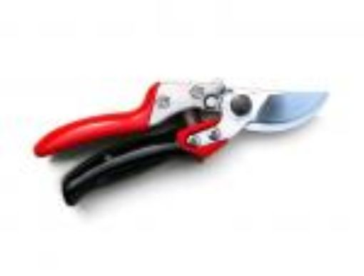 Bild von Profi-Gartenschere, VS-7R