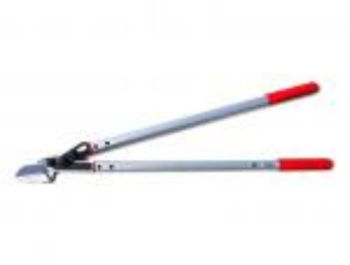 Bild von Amboss-Astschere, LPA-30L